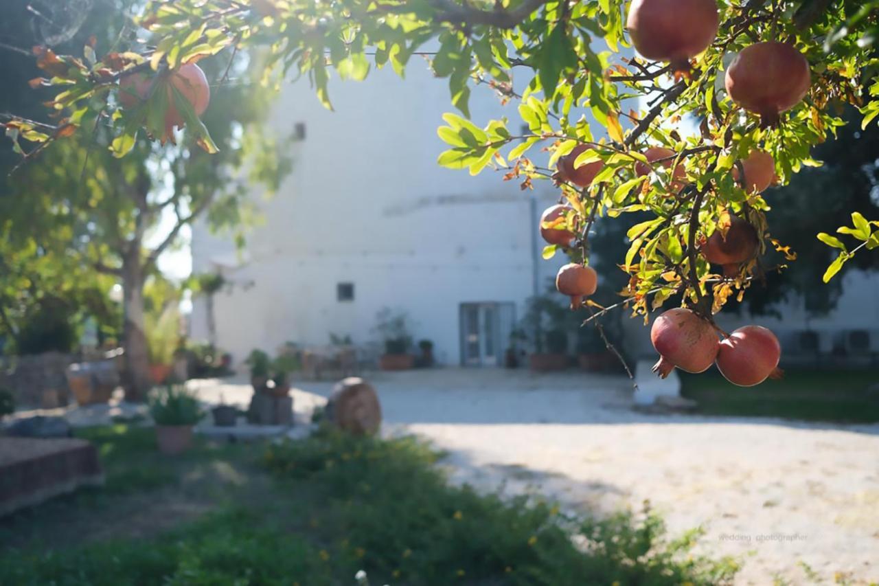 Masseria Giangrande - Rooms And Apartment Polignano a Mare Bagian luar foto