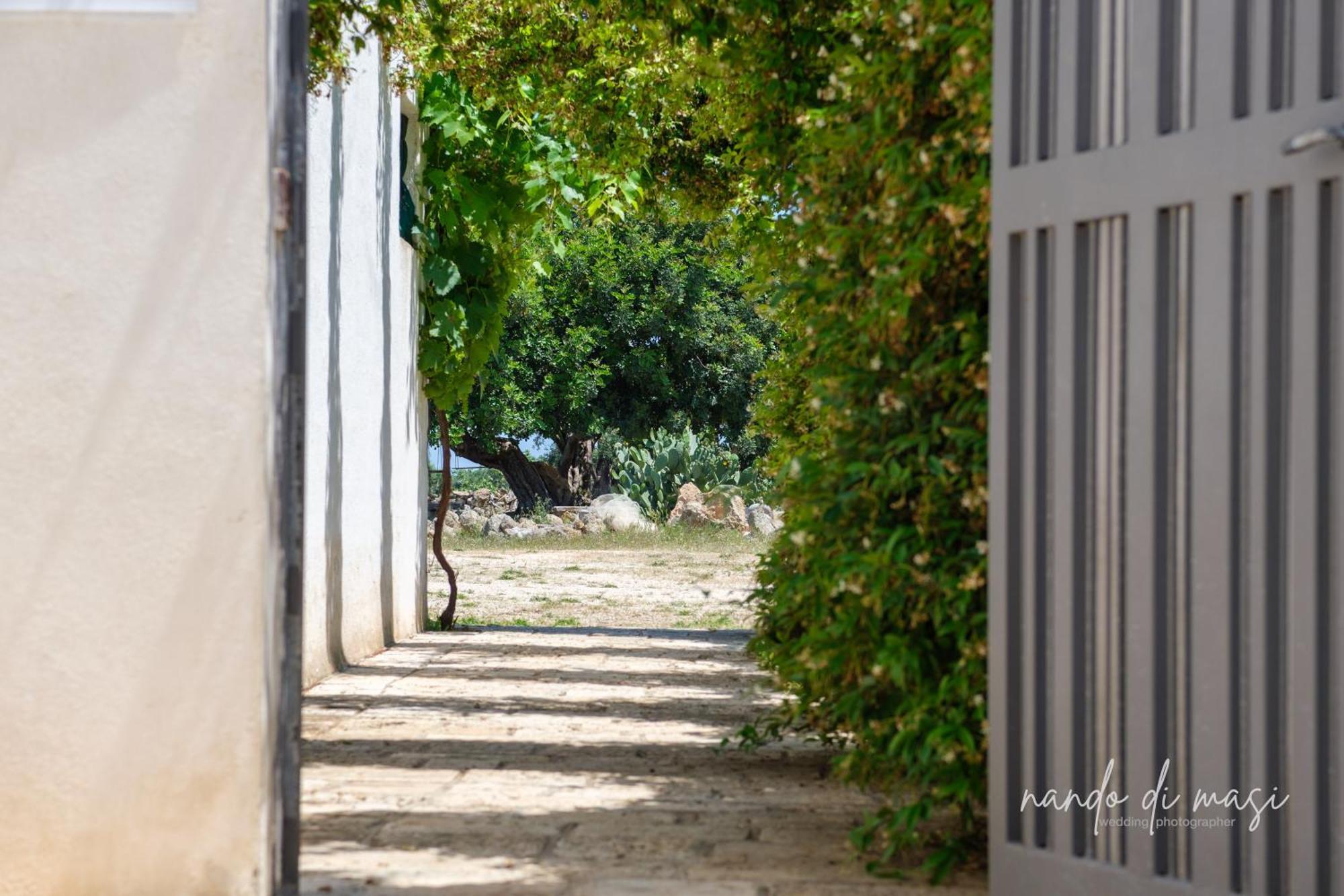 Masseria Giangrande - Rooms And Apartment Polignano a Mare Bagian luar foto