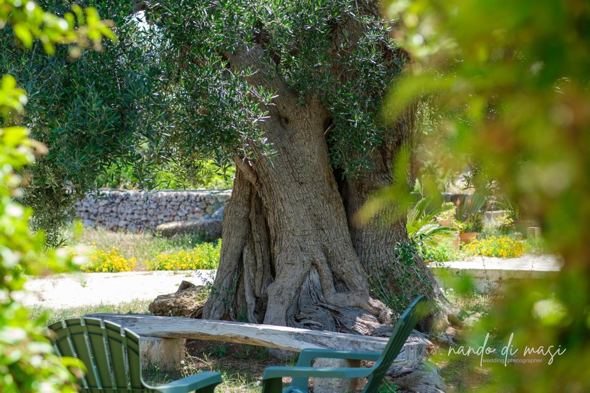 Masseria Giangrande - Rooms And Apartment Polignano a Mare Bagian luar foto