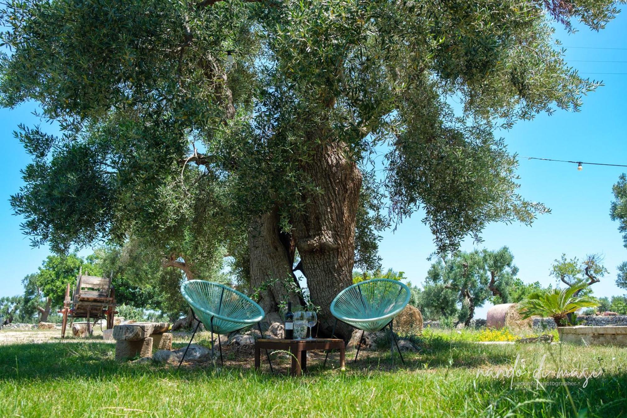 Masseria Giangrande - Rooms And Apartment Polignano a Mare Bagian luar foto